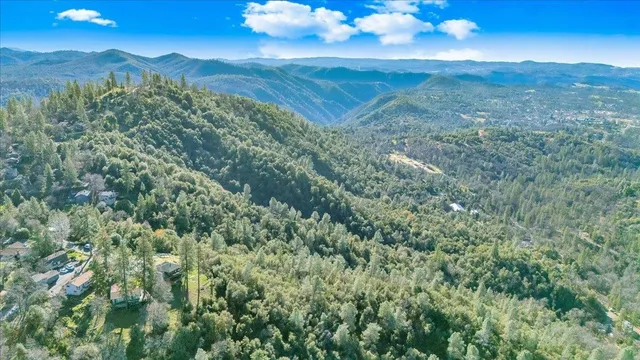a view of a lush green forest with mountains in the background