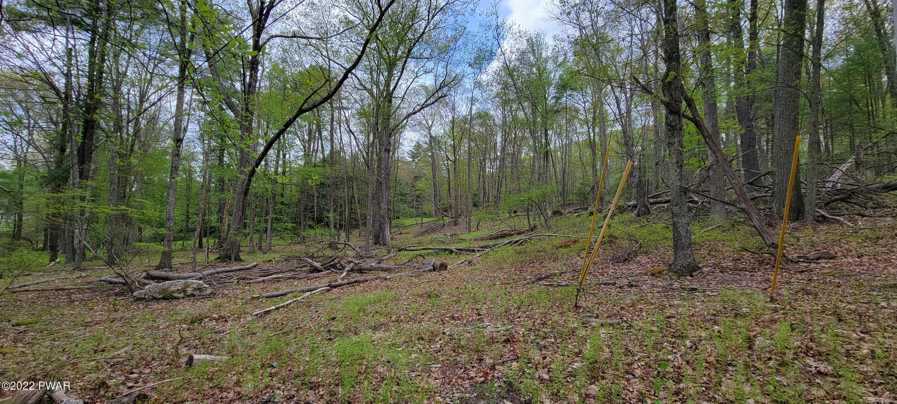 Lot 3 Airport Road Eldred, NY 12732 - Photo 1 of 12