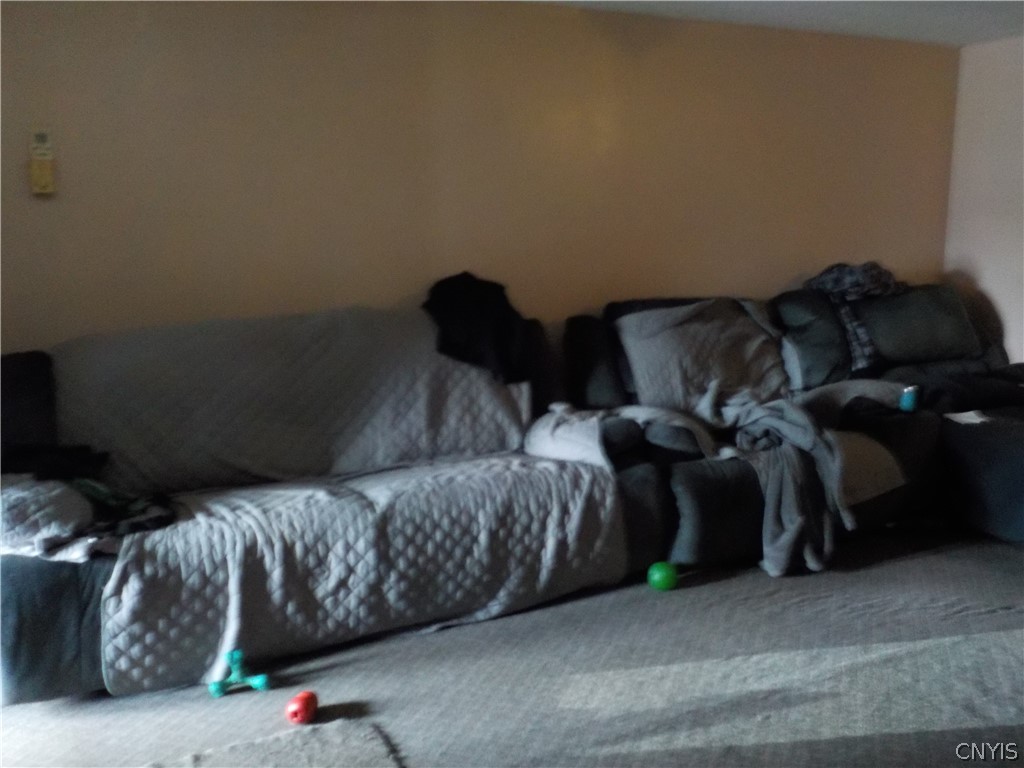 13 Water Street Elbridge, NY 13080 - Photo 8 of 33