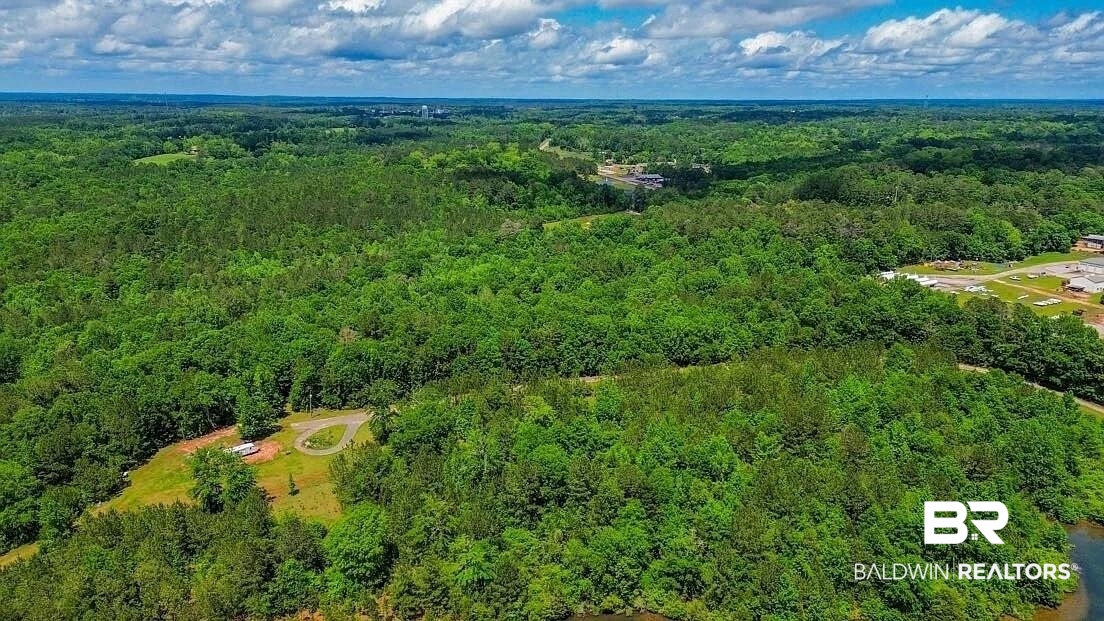 0 Loree Road Evergreen, AL 36401 - Photo 9 of 10 Drone / aerial view of a heavily wooded area