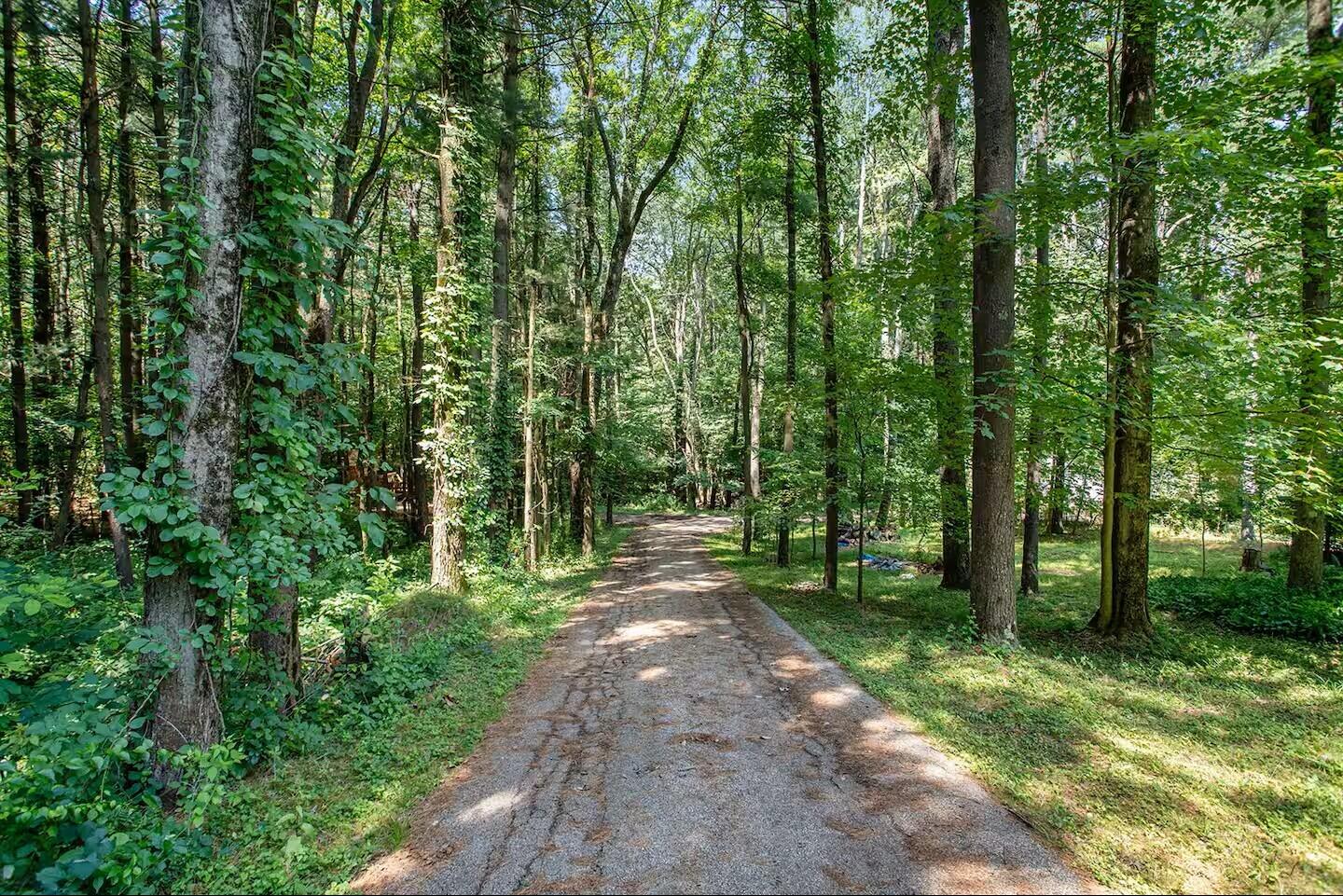 6860 Long Lake Road Berrien Springs, MI 49103 - Photo 4 of 46 1ef6c47c-3020-42bd-b708-aa44e7ee214c