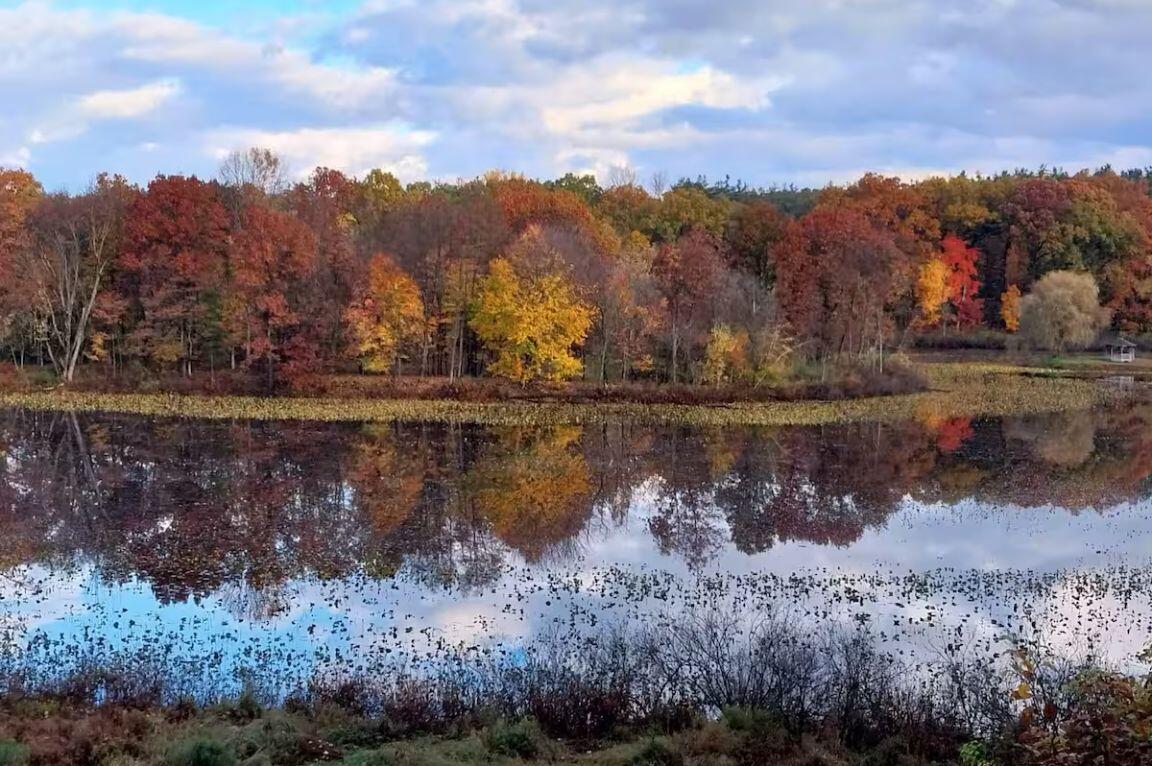 6860 Long Lake Road Berrien Springs, MI 49103 - Photo 5 of 46 39