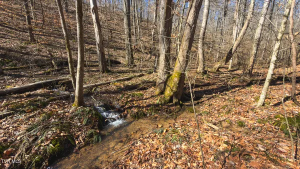 $949,900 | 179 Sutton Hollow, Sneedville, TN 37869