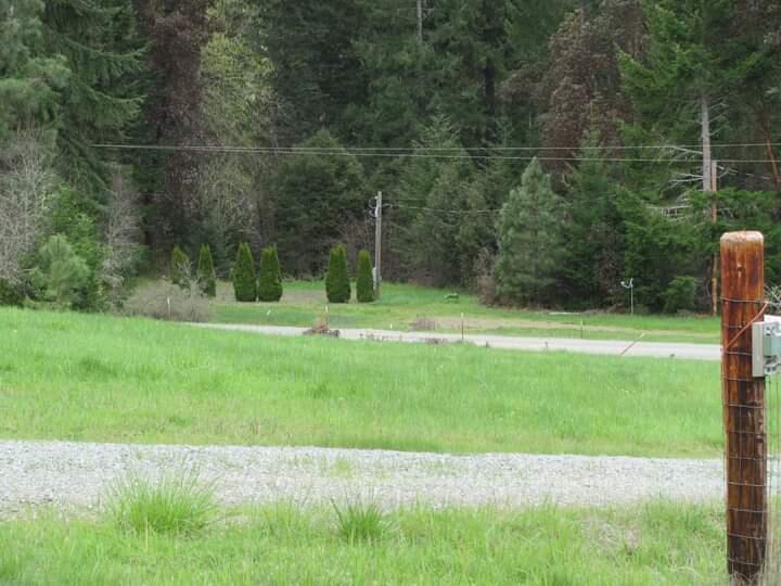 150 Rattlesnake Road Glendale, OR 97442 - Photo 8 of 67 View to the right in the springtime