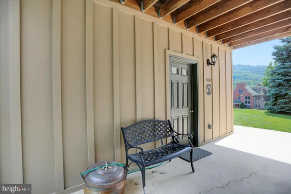 a view of a big yard with plants and a large tree