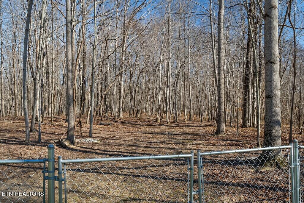 701 Low Gap Road Sparta, TN 38583 - Photo 53 of 57 lowgap55