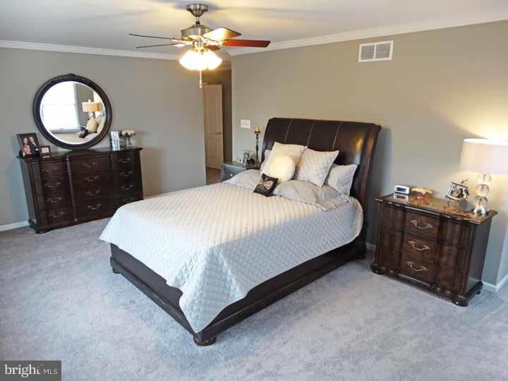 35 Rocking Horse Way Holland, PA 18966 - Photo 14 of 25 Master Bedroom