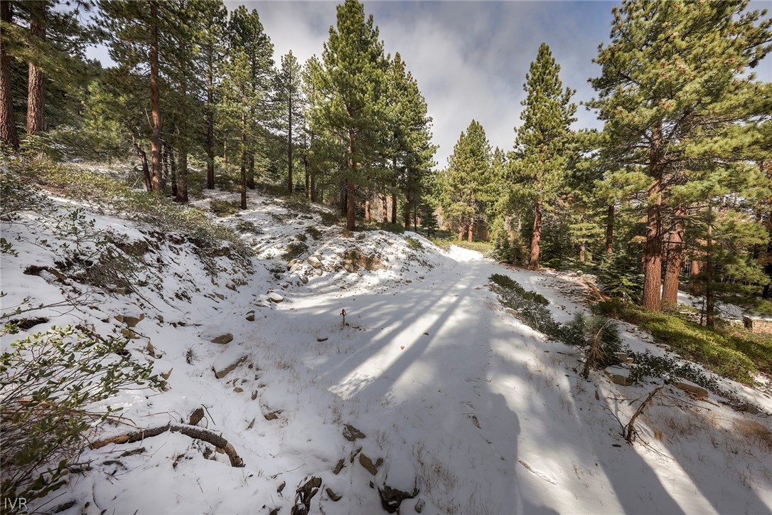 20102 Hibbet Trail Reno, NV 89511 - Photo 33 of 34