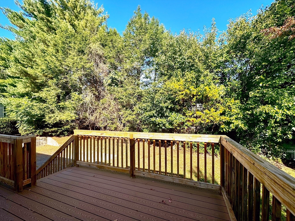 92 Woodcliff Road Brookline, MA 02467 - Photo 34 of 36