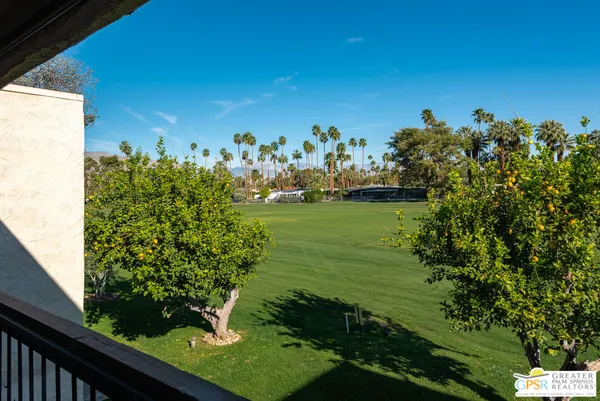 a view of a big yard