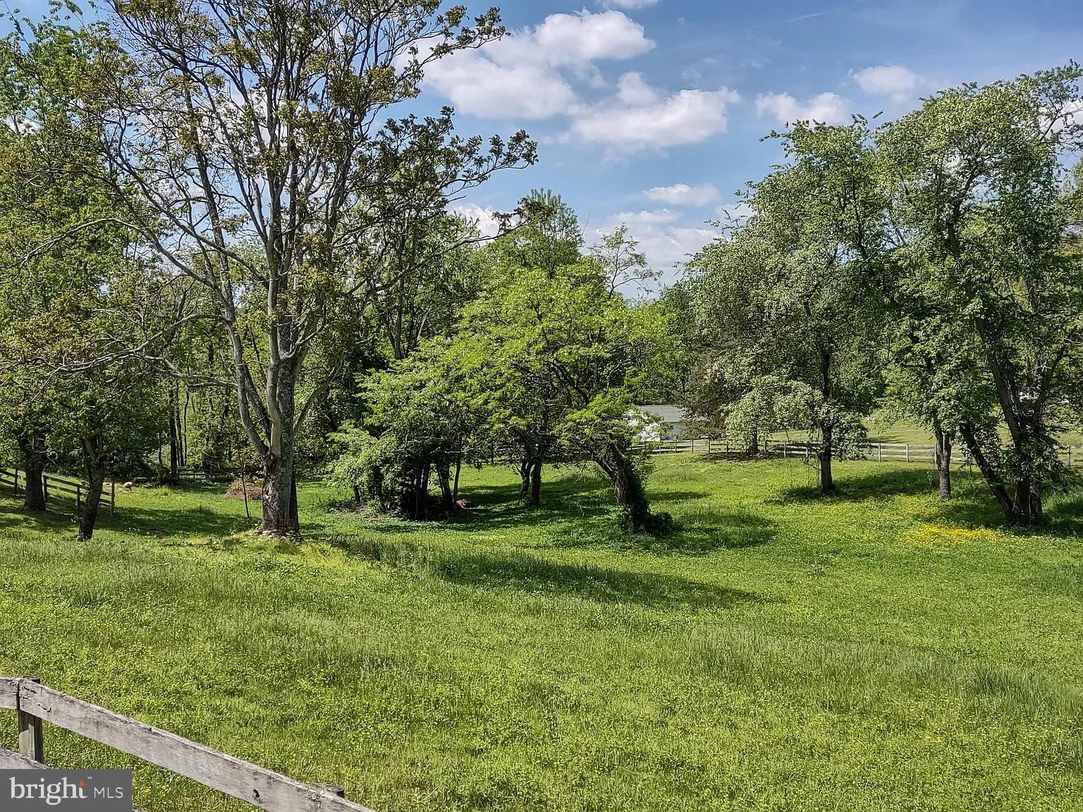 12009 Briar Patch Road Hume, VA 22639 - Photo 21 of 21 front field
