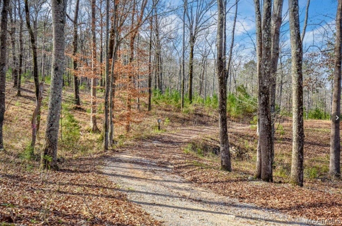 912 Georgia Road Wetumpka, AL 36092 - Photo 61 of 68 Gallery Image 61