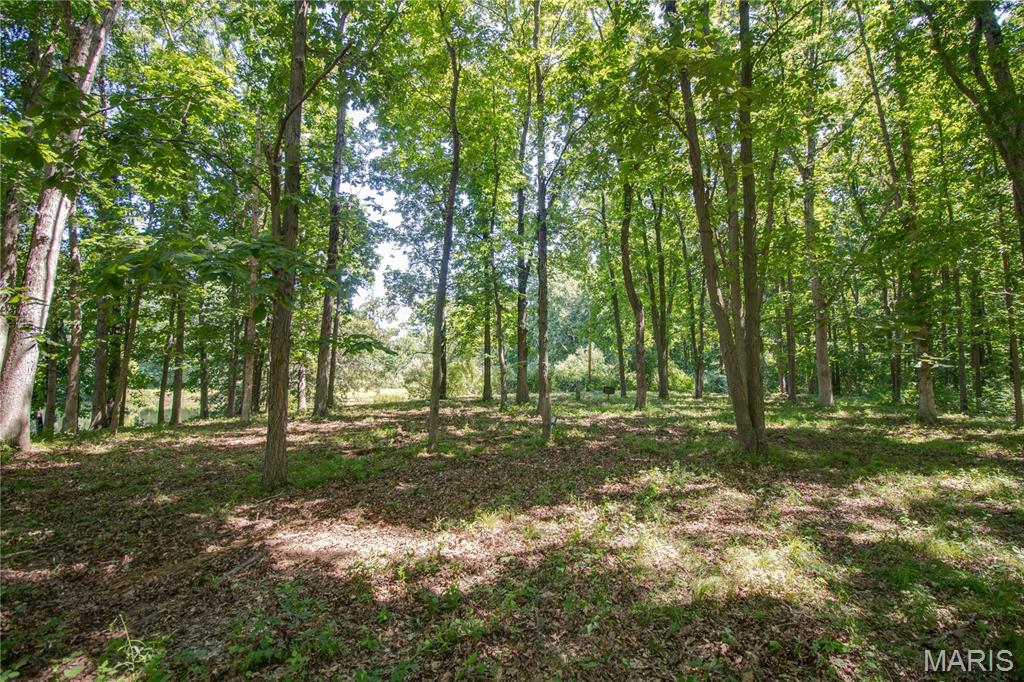 9368 Rhea Park Road Loami, IL 62661 - Photo 29 of 54