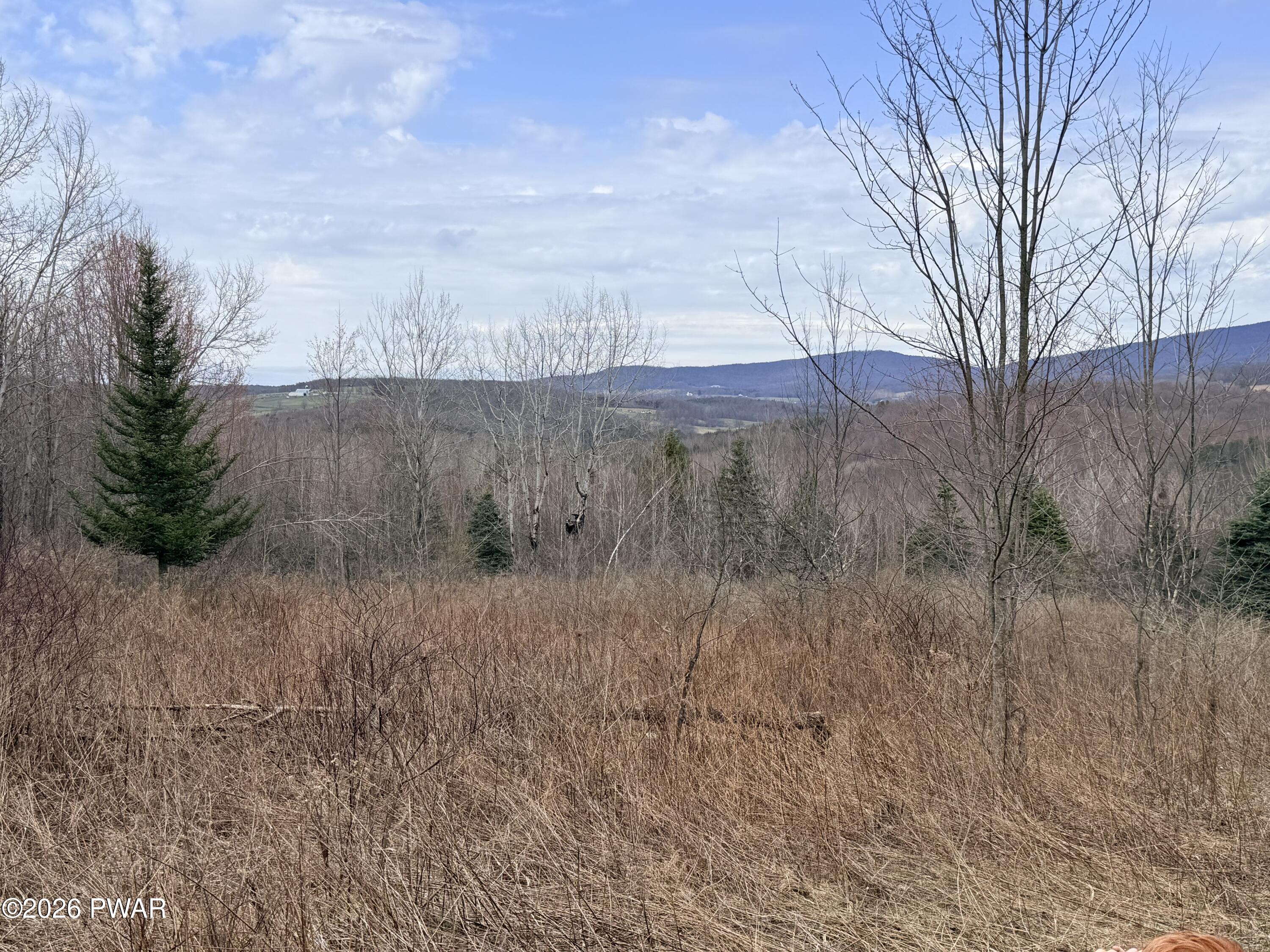 Johnson Hl Road Lenoxville, PA 18441 - Photo 1 of 8