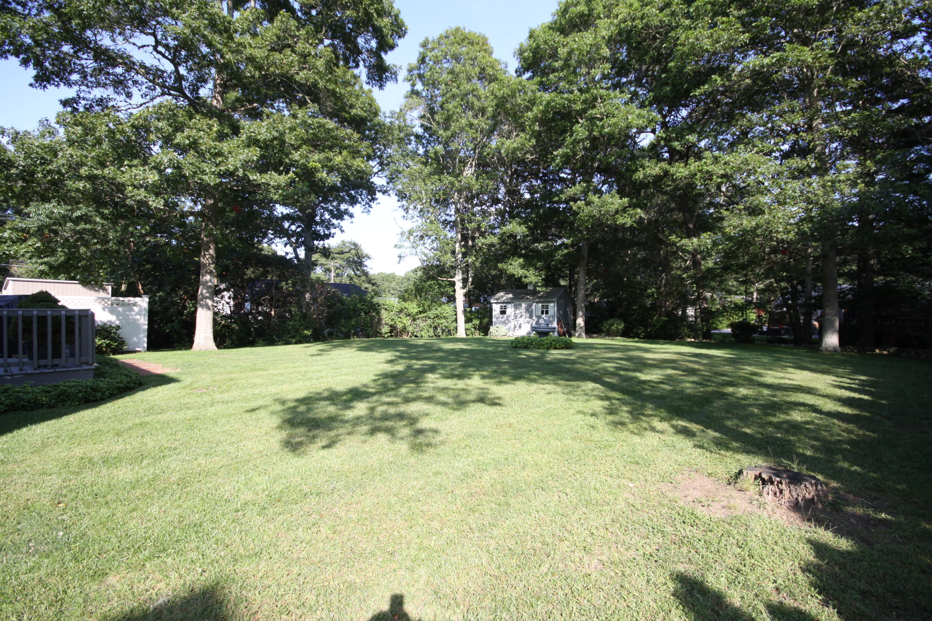 4 Alma Road Mashpee, MA 02649 - Photo 8 of 19 a view of a trees with yard