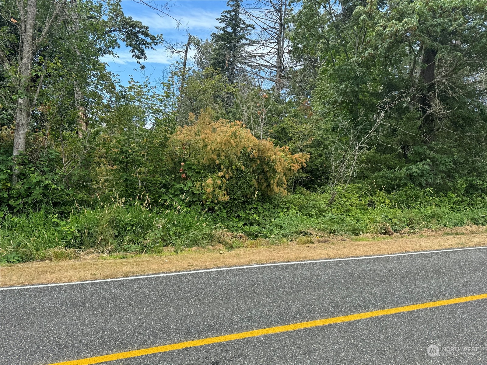 0 Harvey Road Blaine, WA 98230 - Photo 5 of 6