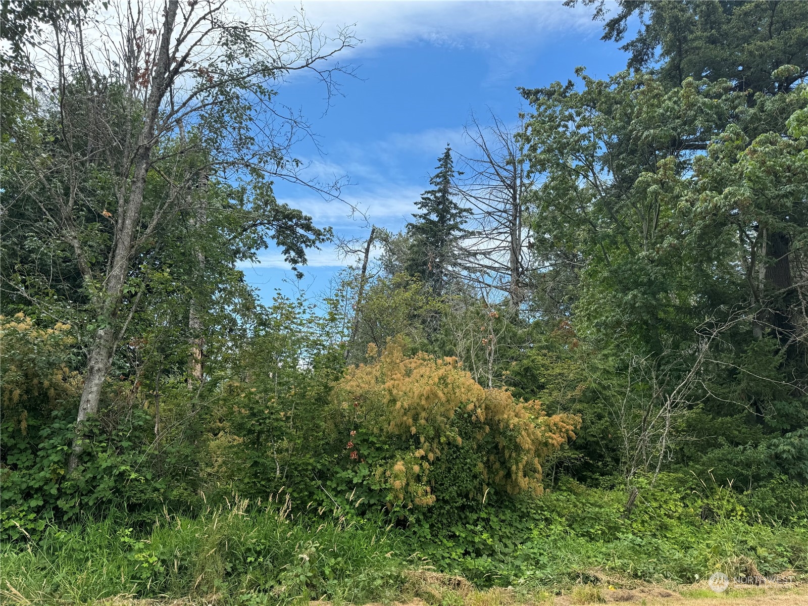 0 Harvey Road Blaine, WA 98230 - Photo 6 of 6