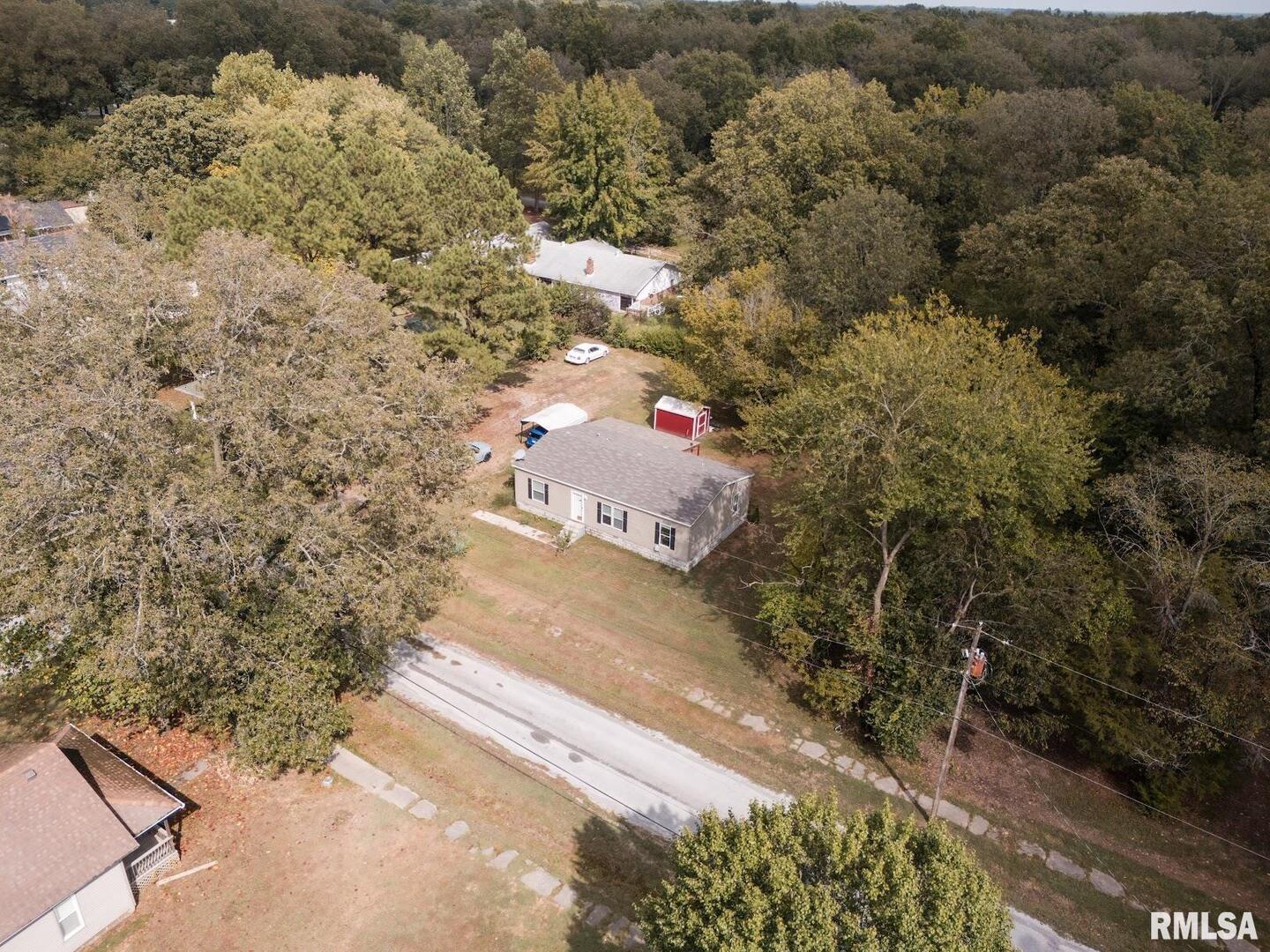 344 Seba Street Hurst, IL 62949 - Photo 31 of 34 a view of a yard with plants
