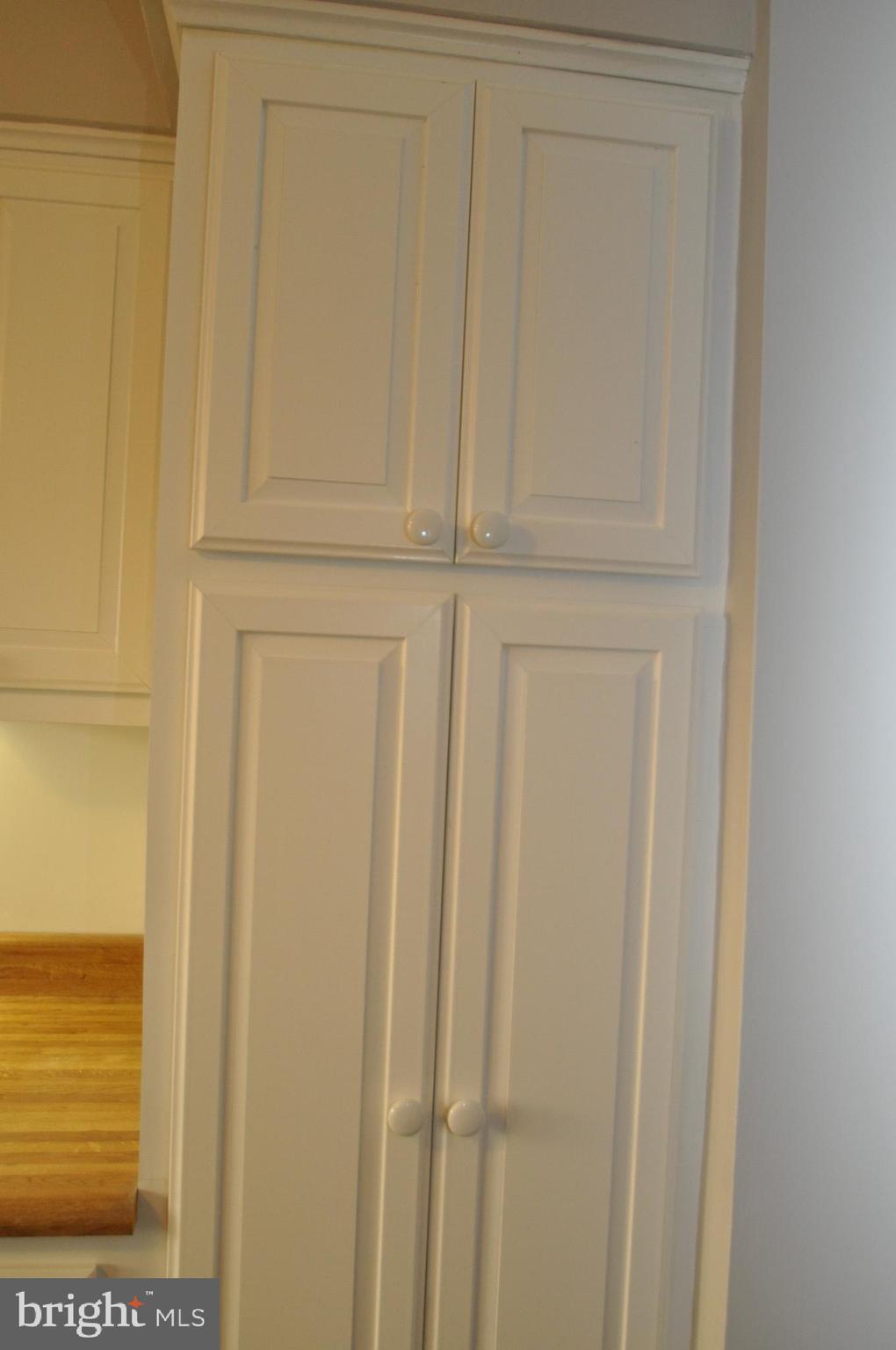 13 Brook Run Road Eastampton, NJ 08060 - Photo 6 of 29 Pantry cabinet