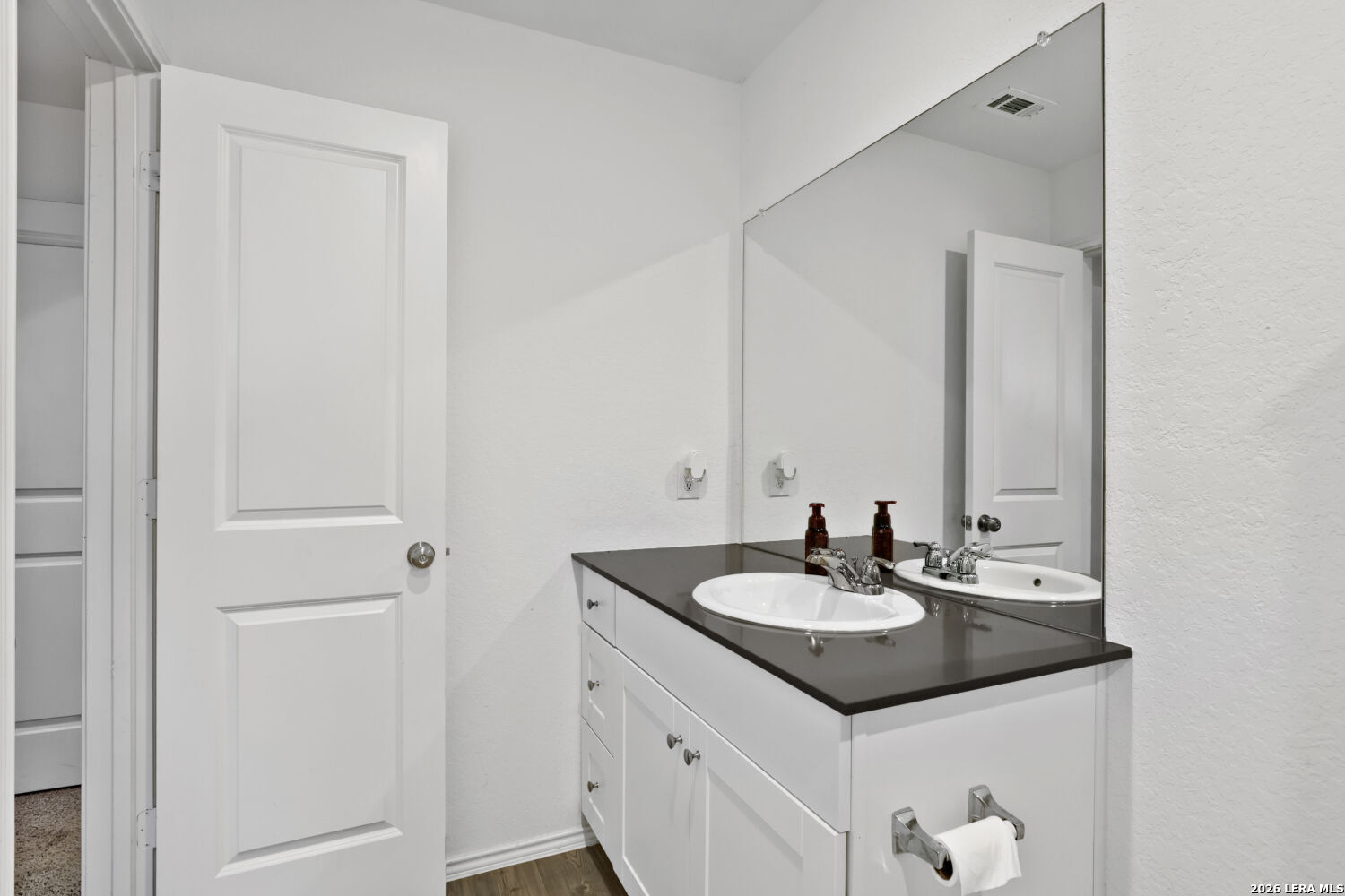 6017 Companion Loop Bulverde, TX 78163 - Photo 19 of 38 a bathroom with a sink and a mirror