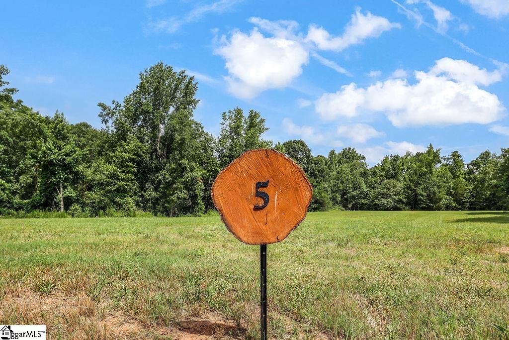 161 Flowing Rock Road, Unit LOT 5 Honea Path, SC 29654 - Photo 3 of 7