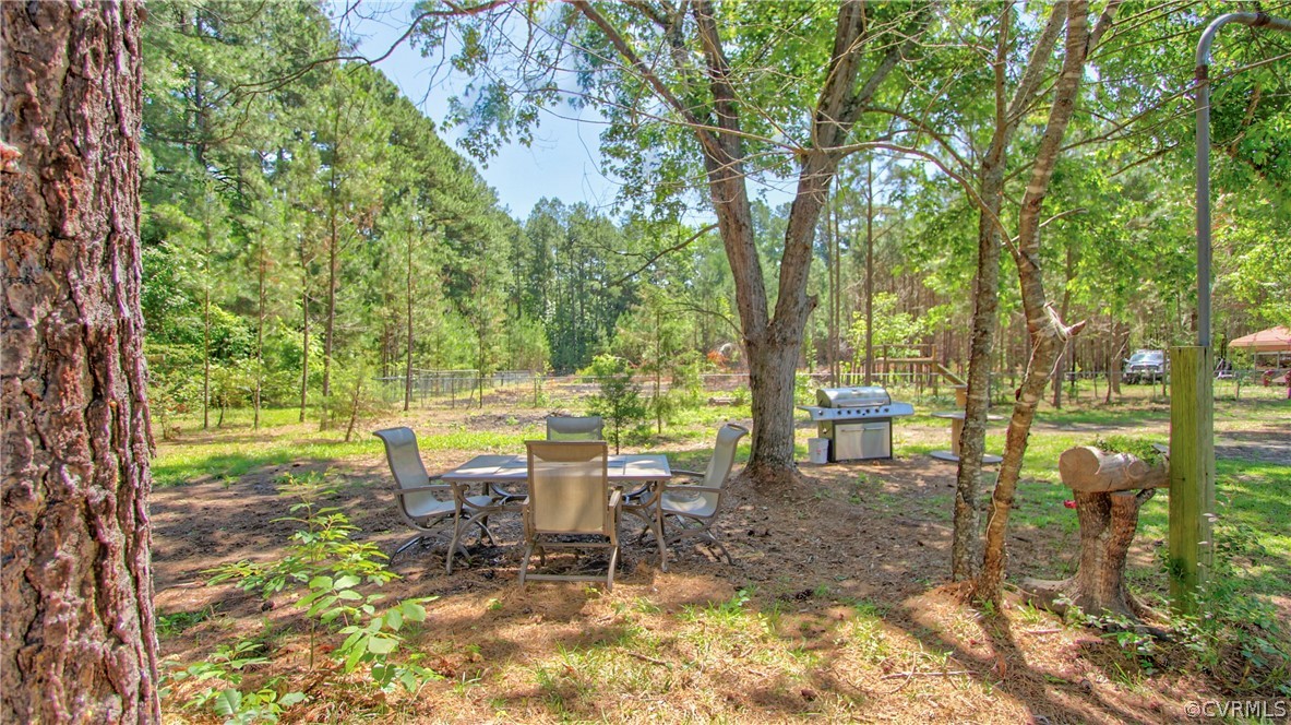 1694 Rolling Acres Road Emporia, VA 23847 - Photo 30 of 45 View of yard