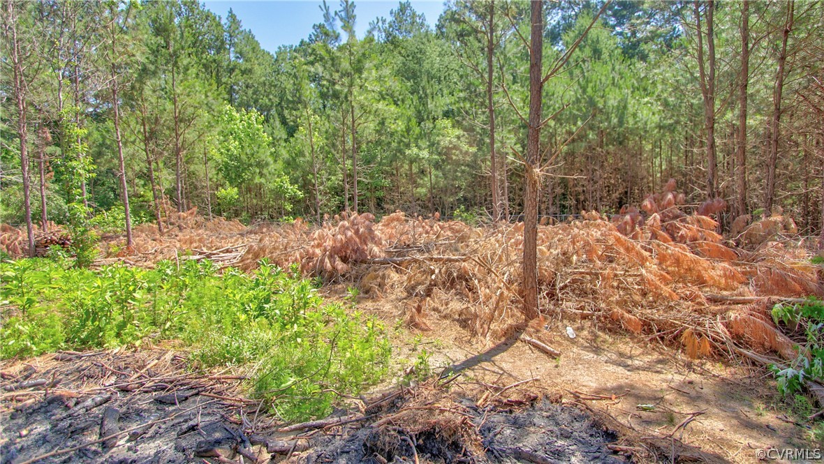1694 Rolling Acres Road Emporia, VA 23847 - Photo 35 of 45 View of nature