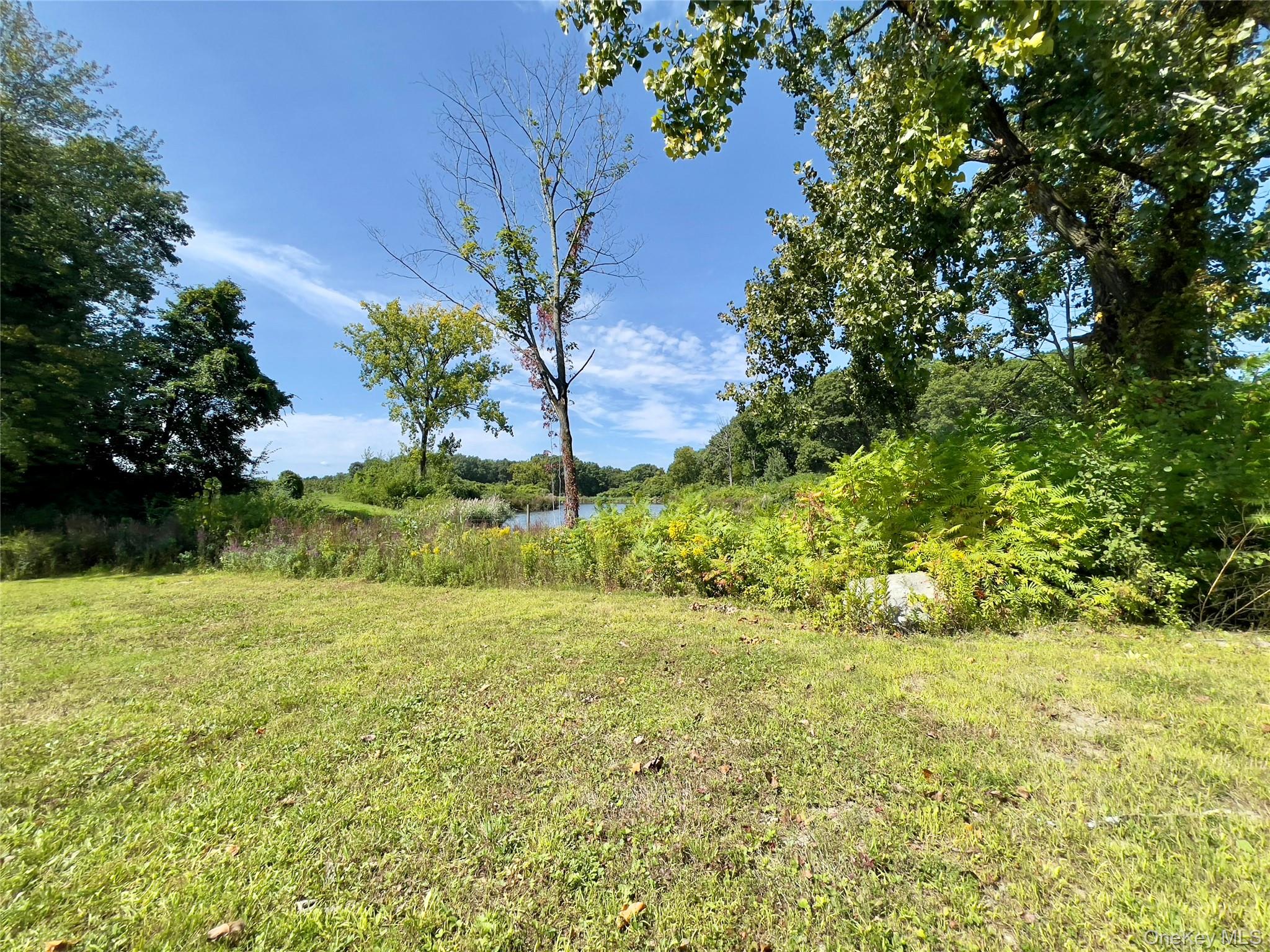 27 Picnic Woods Road Clintondale, NY 12515 - Photo 2 of 6 a view of yard with green space