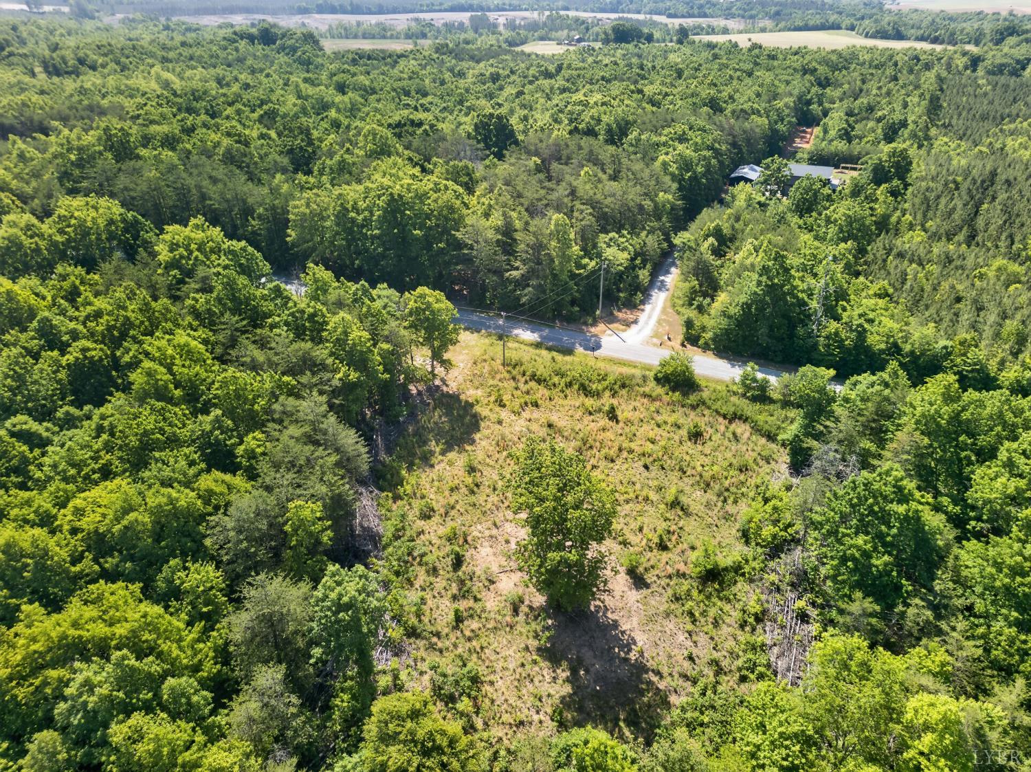 0 Mohawk Road Long Island, VA 24554 - Photo 9 of 23