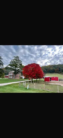 $795,000 | 704 7th Street, Brownsville, MN 55919