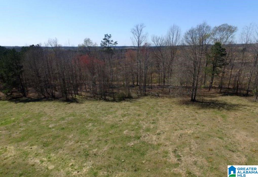 853 Bailey Road Cragford, AL 36255 - Photo 35 of 39