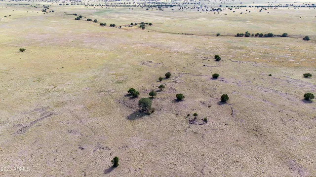 $27,500 | B1 Kirby Lane, Unit 58, Ash Fork, AZ 86320