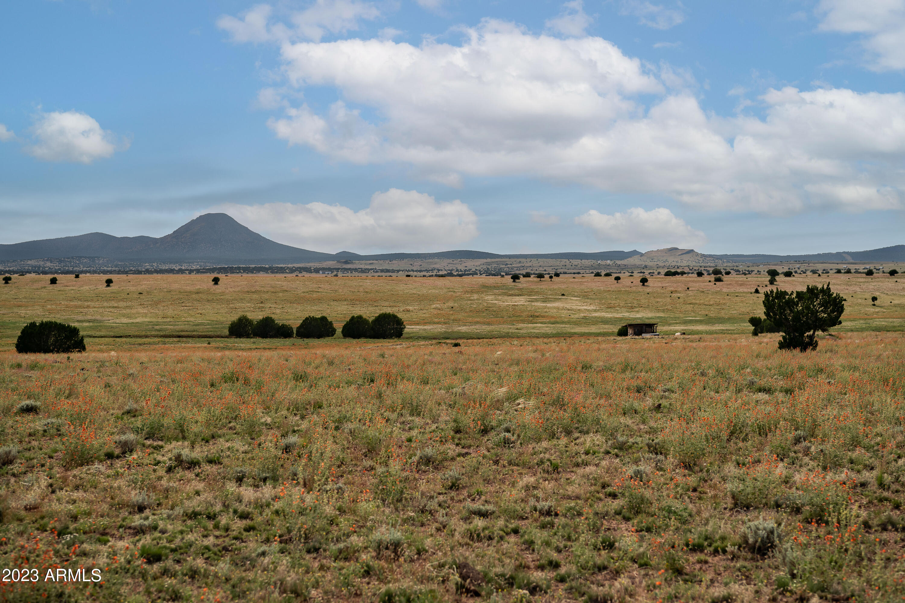 B1 Kirby Lane, Unit 58 Ash Fork, AZ 86320 - Photo 2 of 15 _GS18782