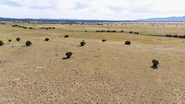 $27,500 | B1 Kirby Lane, Unit 58, Ash Fork, AZ 86320