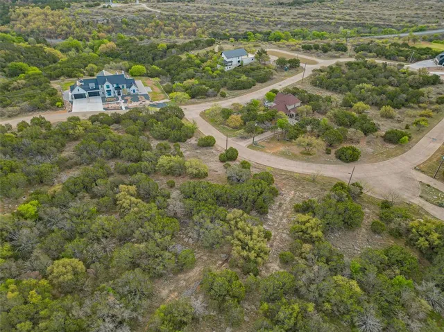 a aerial view of a house with a yard and large trees