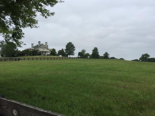 313 Circuit Road Franklin, TN 37064 - Photo 28 of 29 Beautiful views from the back porch