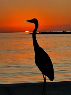 $1,999,900 | 650 70th Avenue, St. Pete Beach, FL 33706