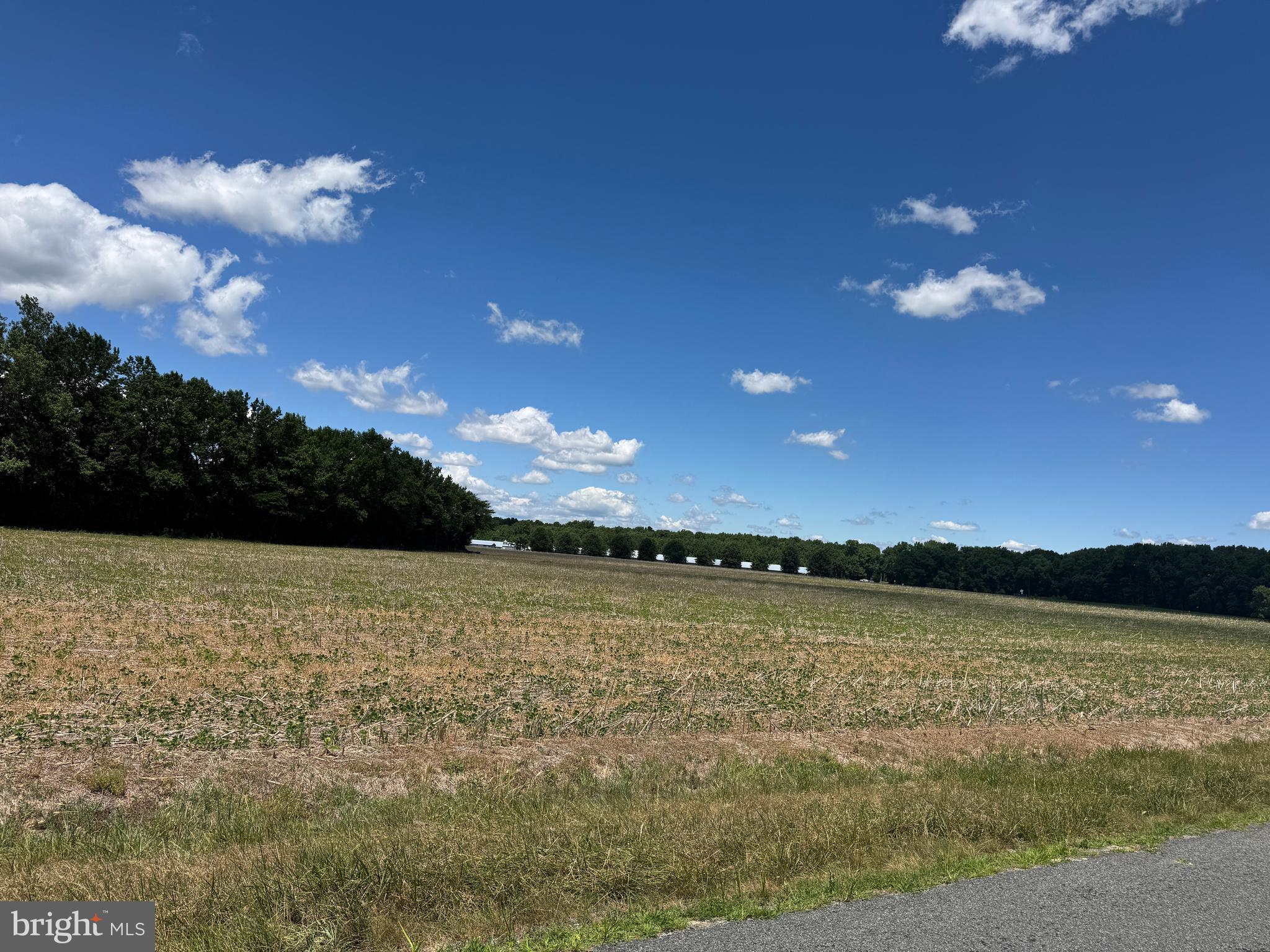 953 White Marsh Branch Road Harrington, DE 19952 - Photo 26 of 39