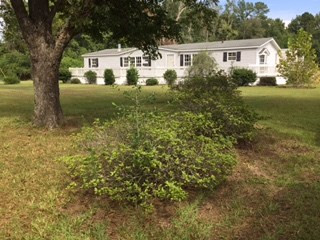 1622 Central Road Lake City, SC 29560 - Photo 1 of 1