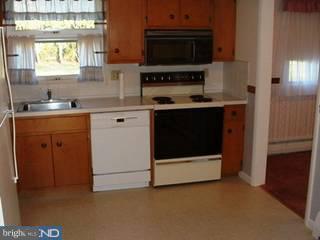 317 Morrison Road Reading, PA 19601 - Photo 3 of 6
