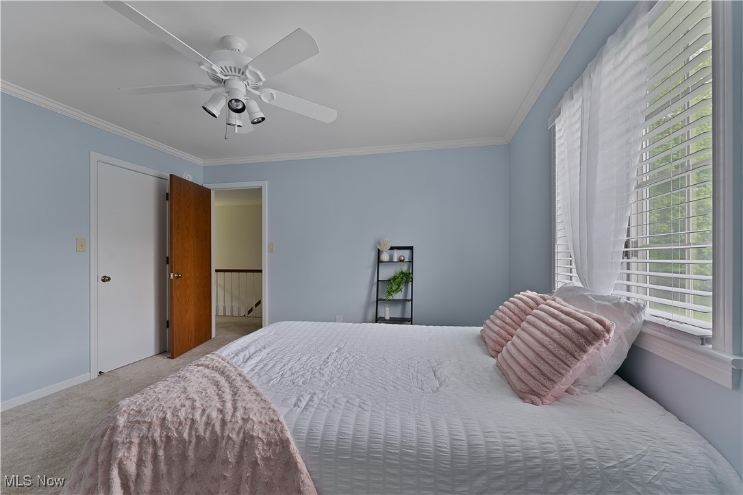 7091 South Raccoon Road Canfield, OH 44406 - Photo 34 of 39 Carpeted bedroom featuring ornamental molding, a ceiling fan, and baseboards