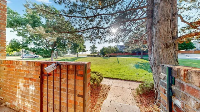 a view of a yard with an trees