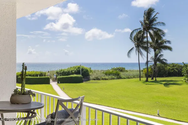 a view of a swimming pool with a garden and plants
