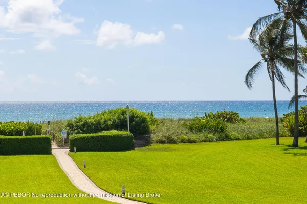 a view of a swimming pool with a garden