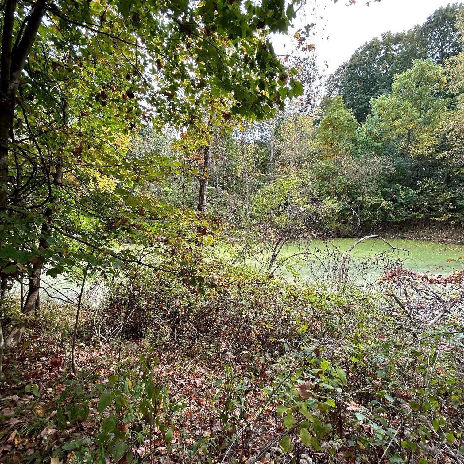 0 Ewart Road Mount Vernon, OH 43050 - Photo 7 of 15 photo6