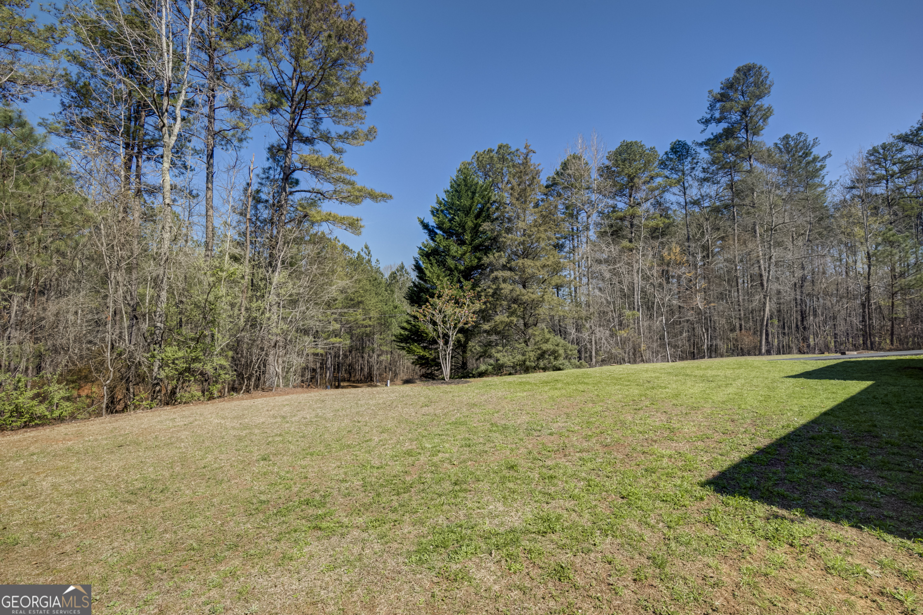 1646 Ferry Road Franklin, GA 30217 - Photo 24 of 30