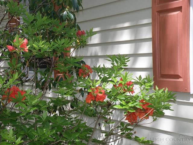 1181 Ravens Ridge Circle Boone, NC 28607 - Photo 13 of 33 Gallery Image 13