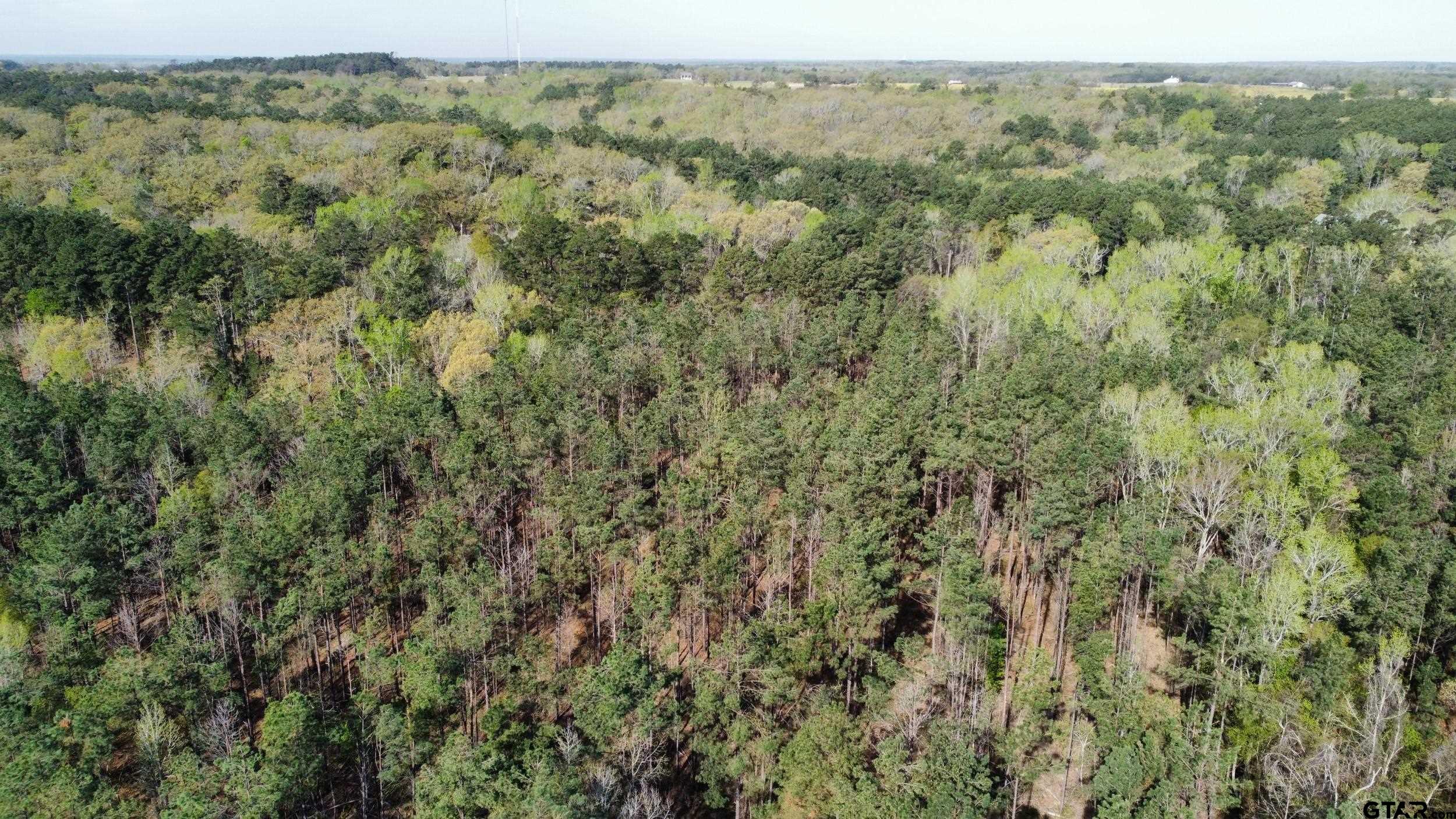 0 C R 434 Lindale, TX 75771 - Photo 22 of 29