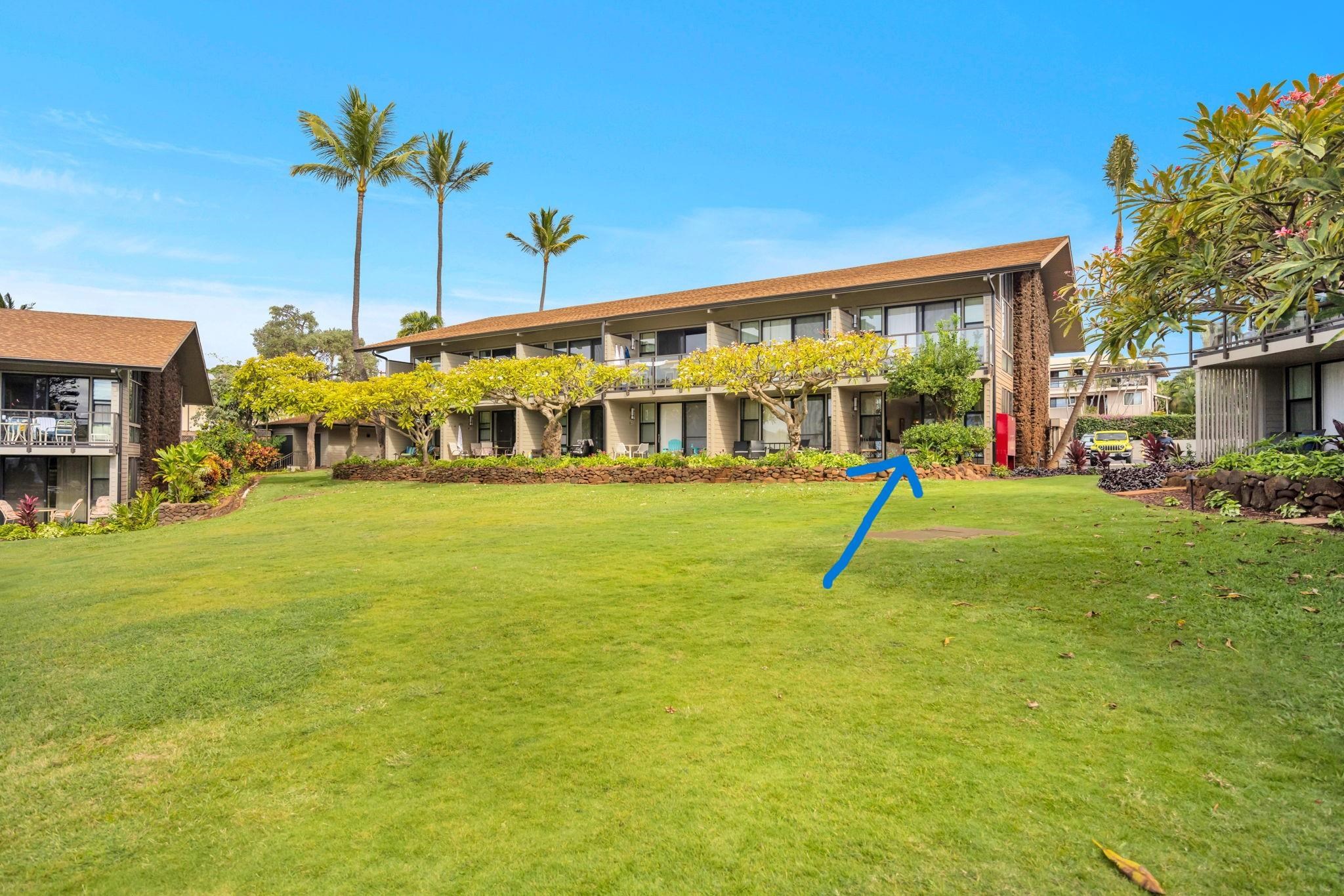 4057 Lower Honoapiilani Road, Unit 116 Lahaina, HI 96761 - Photo 25 of 38 a view of swimming pool with a yard and palm trees