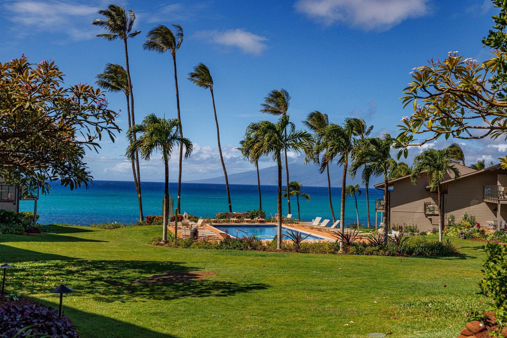 4057 Lower Honoapiilani Road, Unit 116 Lahaina, HI 96761 - Photo 29 of 38 a view of a water with palm trees